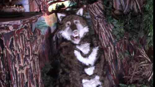 bigfoot-dan-and-the-tagalongs-music-video-website-puppet-cast-member-timber-the-cross-eyed-wolf-tracker-story-teller