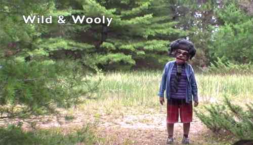 wild-&-wooly-tagalong-cast-member-lake-superior-wooded-south-shore-lake-superior